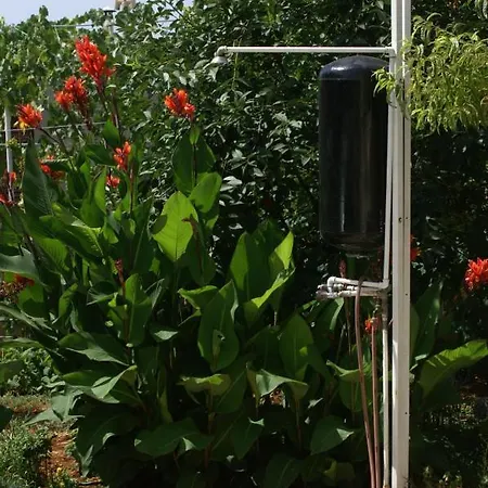 Apartment Apartments With Parking Space Rogoznica - 4218 *