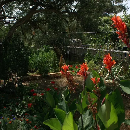 With Parking Space - 4218 Apartman Rogoznica