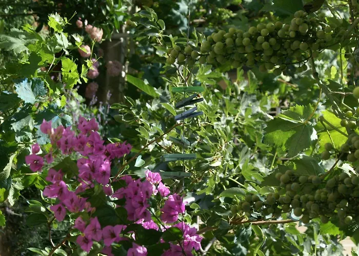 With Parking Space - 4218 Rogoznica (Sibenik-Knin)